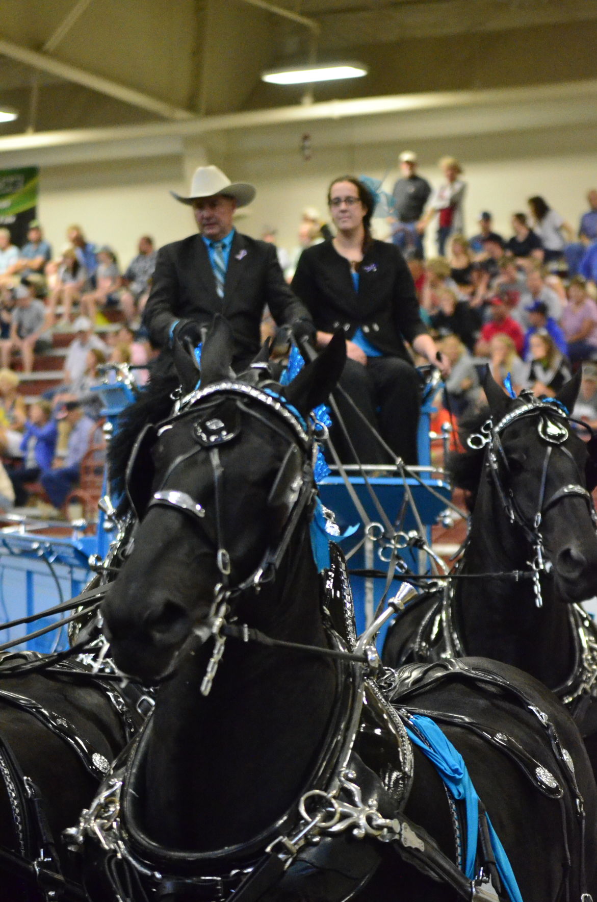 8-25-19 Draft Horse Hitch Final (105).JPG